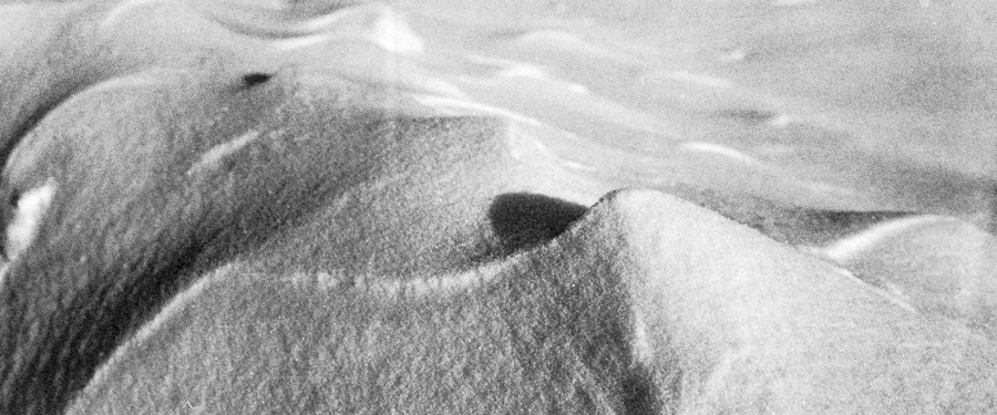 Blakc and white detail photo of snow