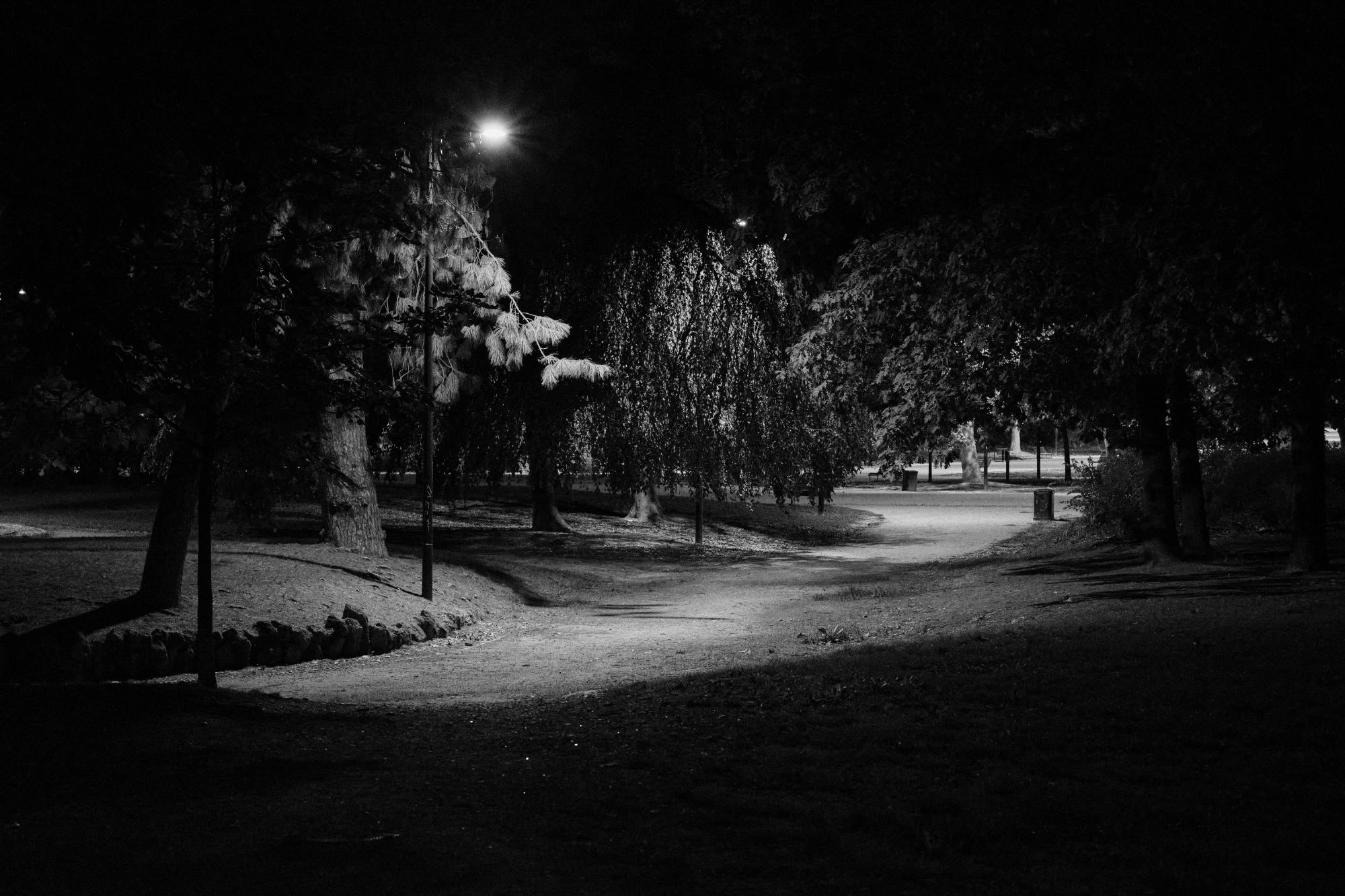 Black and white photo of Milano city park at night